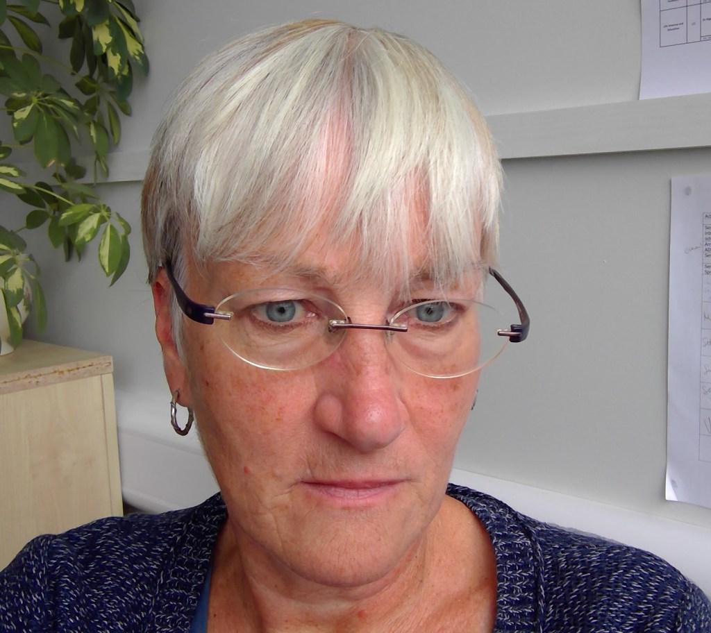 A portrait photo of Sue Lee.