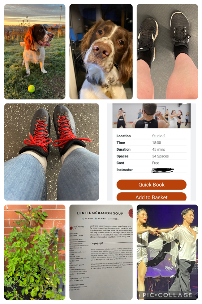 Image of a dog and a person running