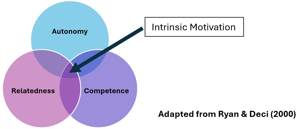 Image of intrinsic motivation
